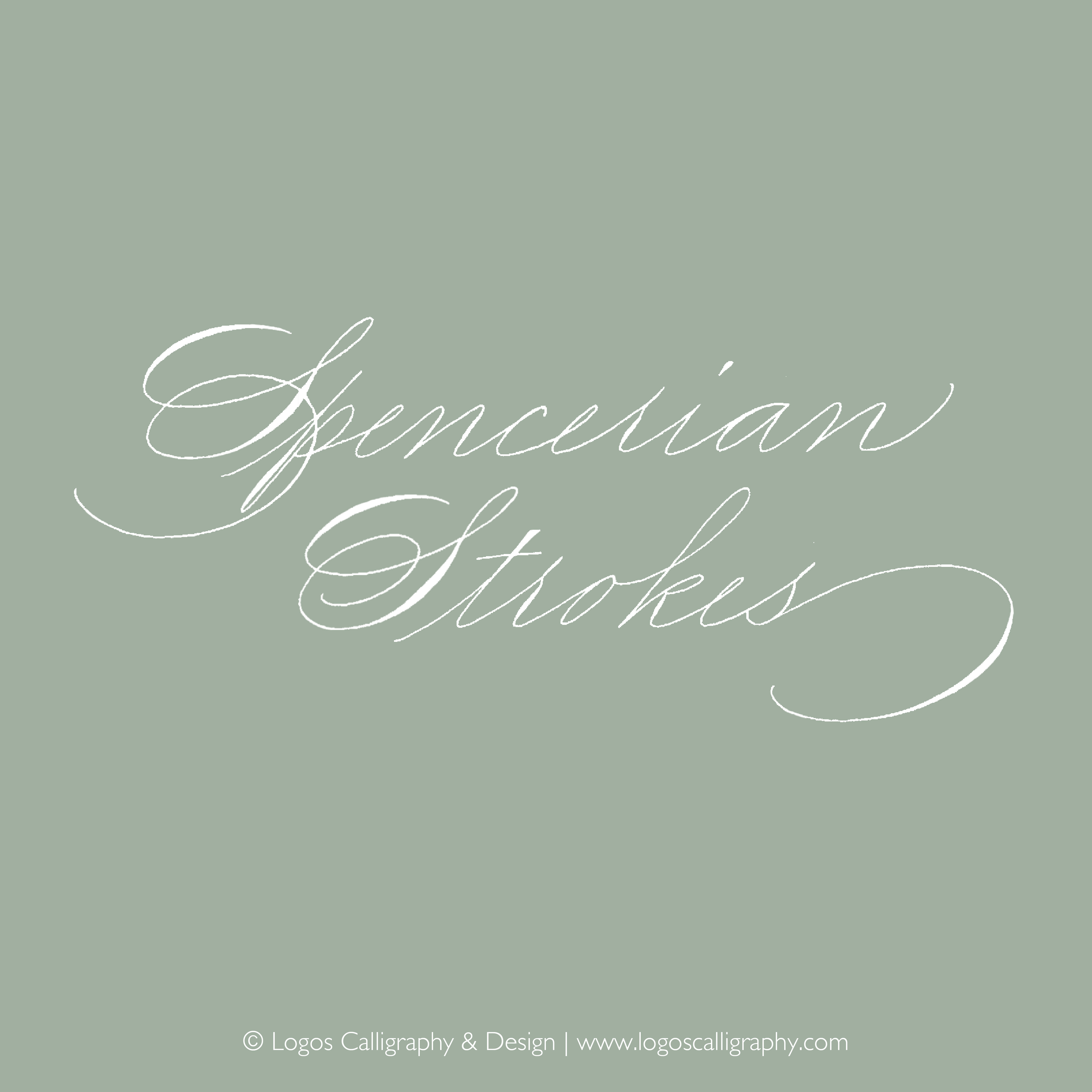 Logos Calligraphy - Spencerian Strokes