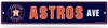 Houston Astros Team Color Street Sign Décor 5"x 24"