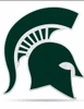 Michigan State Spartans 18" Logo Pennant Soft Felt
