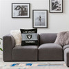 Las Vegas Raiders 2pc 18" x 18" Pillow Case Covers Nation(Printed 1 Side)