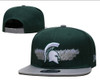 Michigan State Spartans Snapback Ball Cap