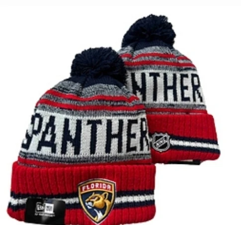 Florida Panthers Pom Knit Beanie #2