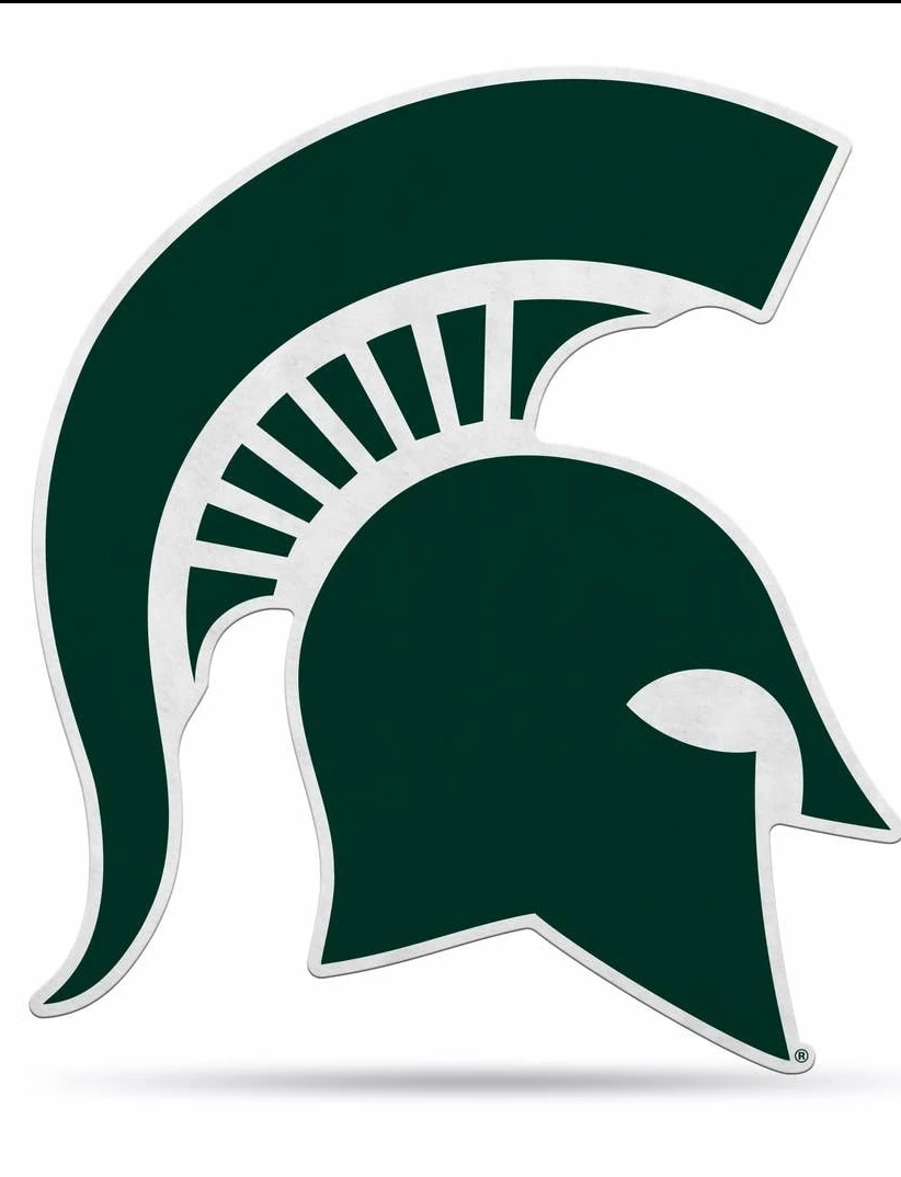 Michigan State Spartans 18" Logo Pennant Soft Felt