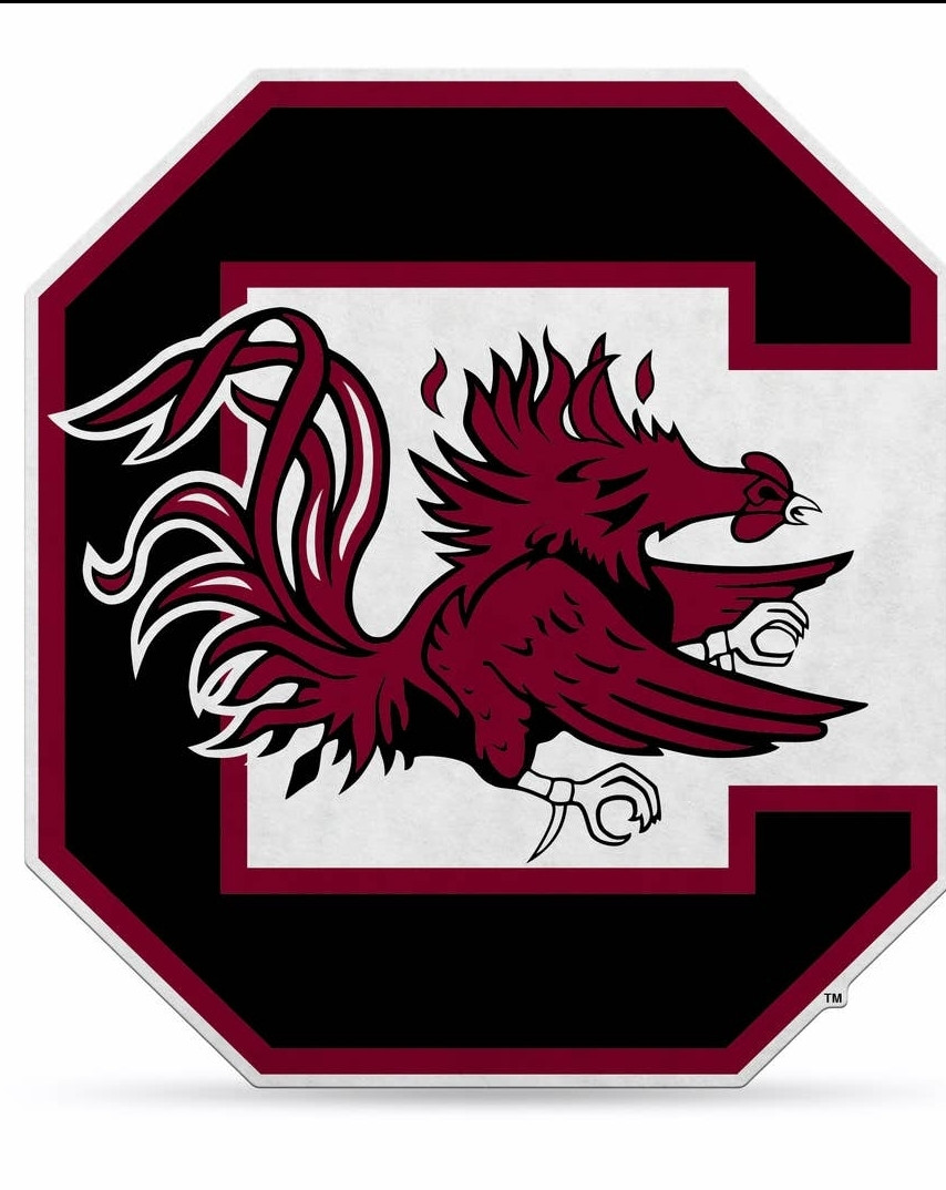 South Carolina Gamecocks 18" Logo Pennant Soft Felt