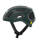 Pargasite Green Matte