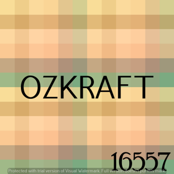 16557