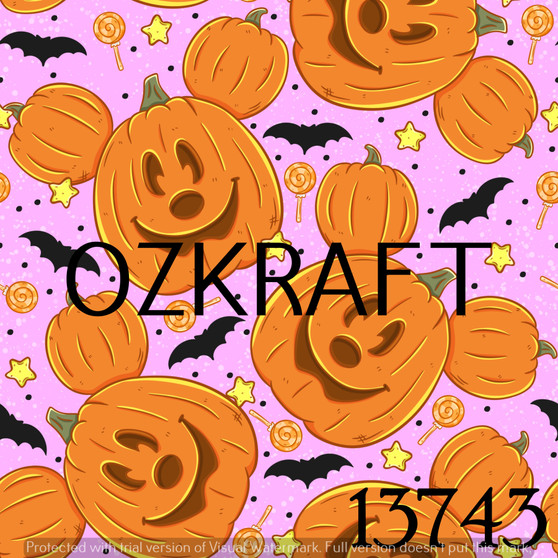 13743