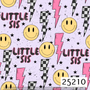 25210