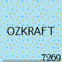 7269