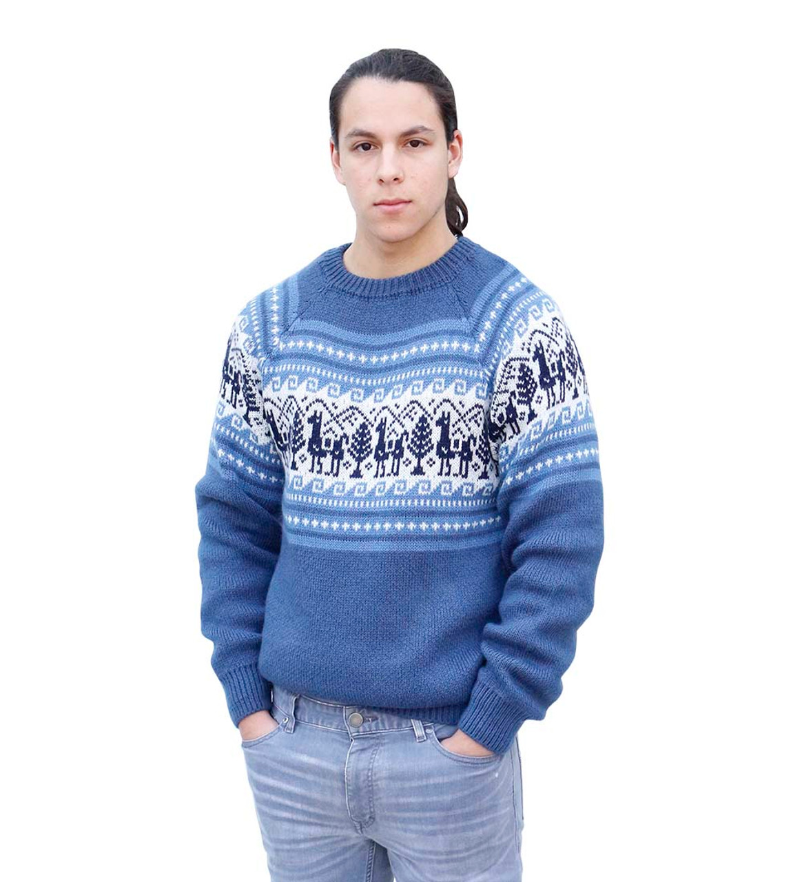 GUESS Men's Alan Long Sleeve Crew Neck Fancy Stitch Sweater, Salt White and  Blue Combo at  Men's Clothing store
