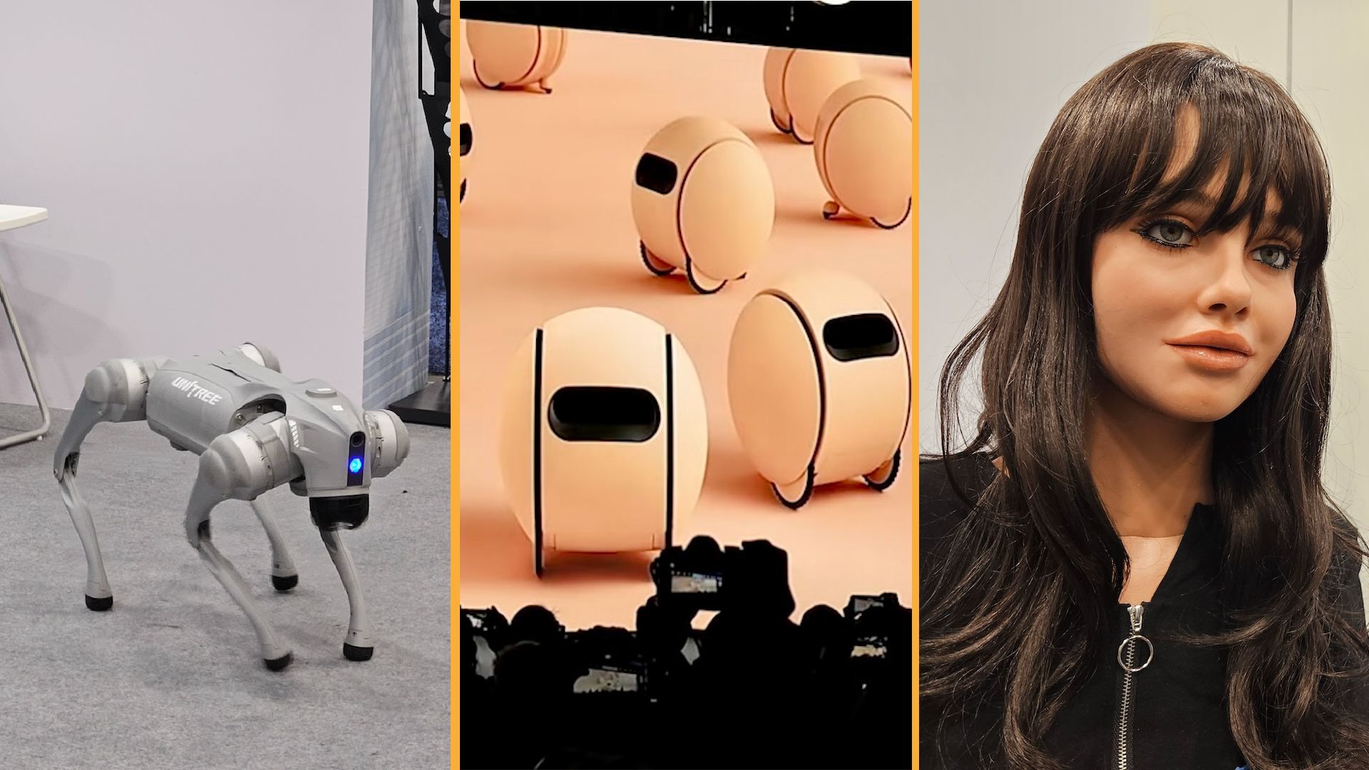 2025: Predictions in Robotics