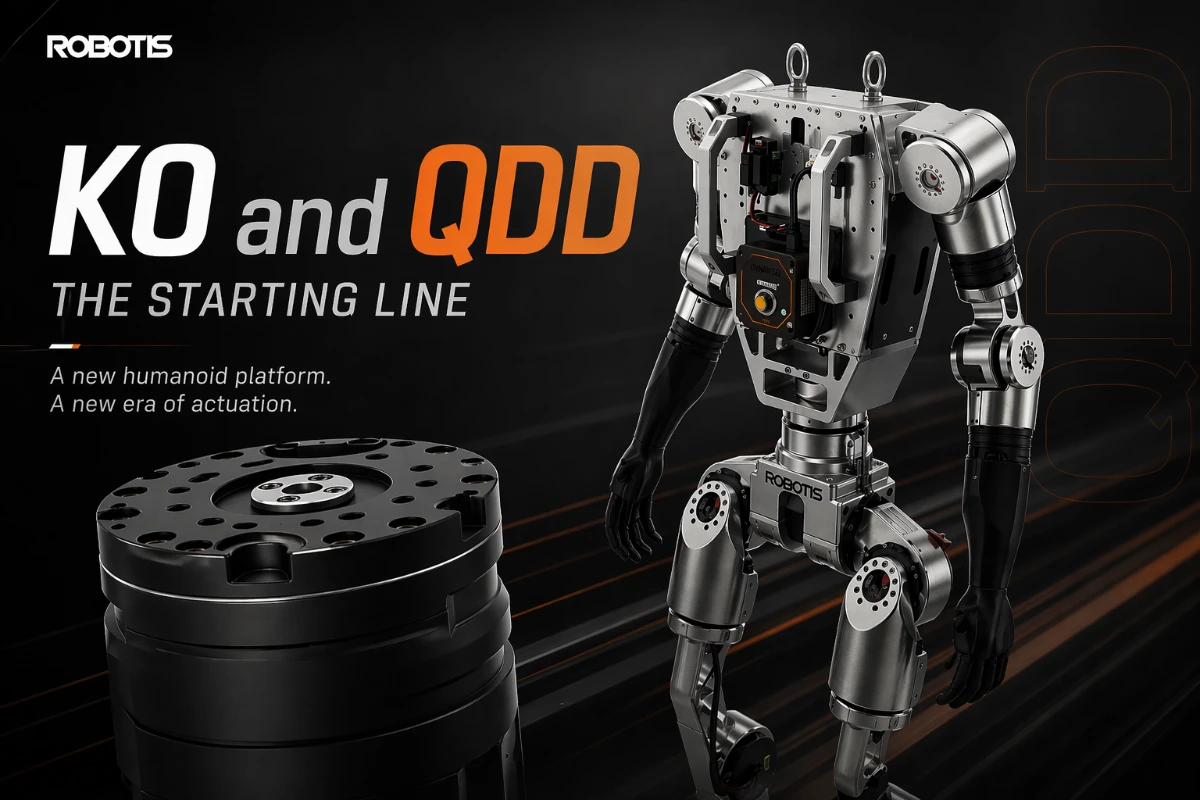 K0 and QDD - The Starting Line 