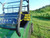 CF Moto UForce 1000 / 1000XL Lexan Windshield