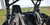 Artic Cat Prowler Rear Windshield - all models