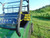 Kubota RTV 400 / 500 / 520 Lexan Windshield
