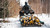 Universal cargo sled