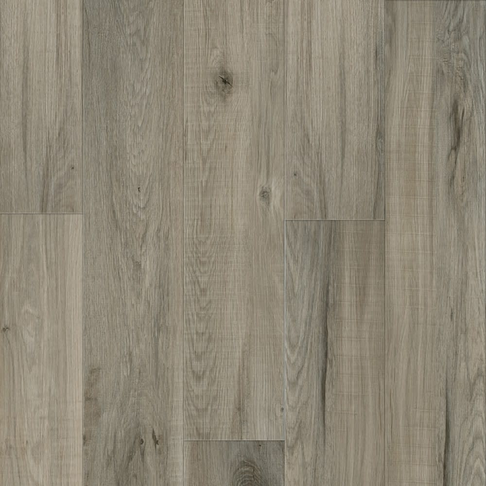 5516578-1__87772.1714491258.