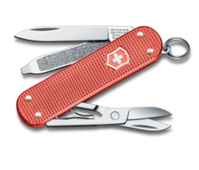 Victorinox スタンダード　四点 Victorinox Swiss Army Limited Edition 2022 Classic SD Thunder Gray