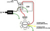 RACING CDI WITH ADJUSTABLE TIMING FOR CUSTOMIZED TUNING MOST GY6 150cc ENGINES