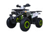 TAO TAO RAPTOR G200 ATV