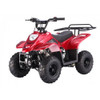 TAO TAO (BOULDER B1) 110cc ATV *DEALER PRICE*