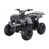 TAO D125(ATA125D) ATV *SMALL TIRE* 