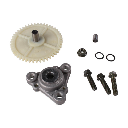 OIL PUMP KIT COMPLETE FOR 50cc QMB139 *ENGINES THAT USE THE 47 TOOTH OIL PUMP*