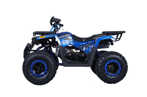 TAO TAO RAPTOR G200 ATV