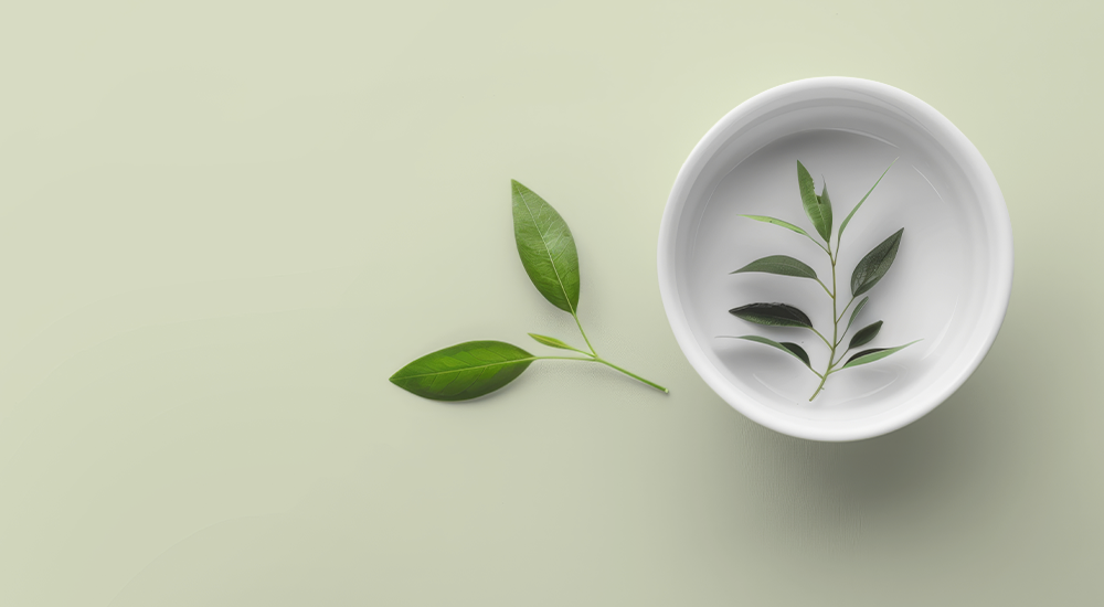 imagen servicio fitoterapia