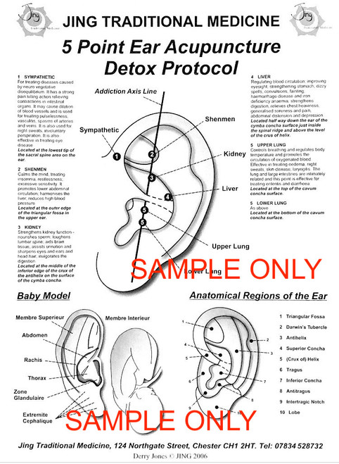 Jing Traditional Medicine 5 Point Detox Ear Chart - Digital Download PDF