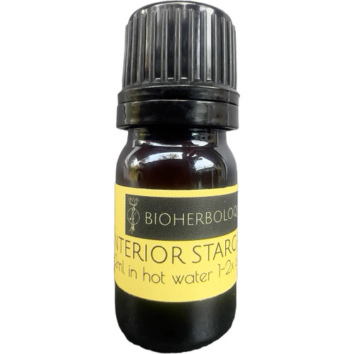 Interior Stargalus Huang Qi Drops Sample, 5ml 