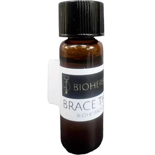 Brace the Base Sample, 2ml 