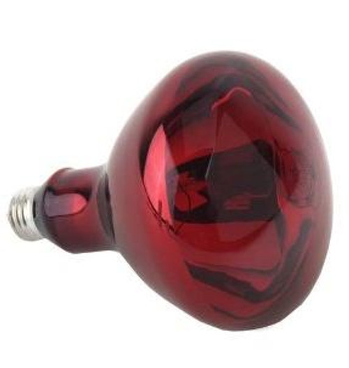 Light Bulb for Korean Infrared Lamp