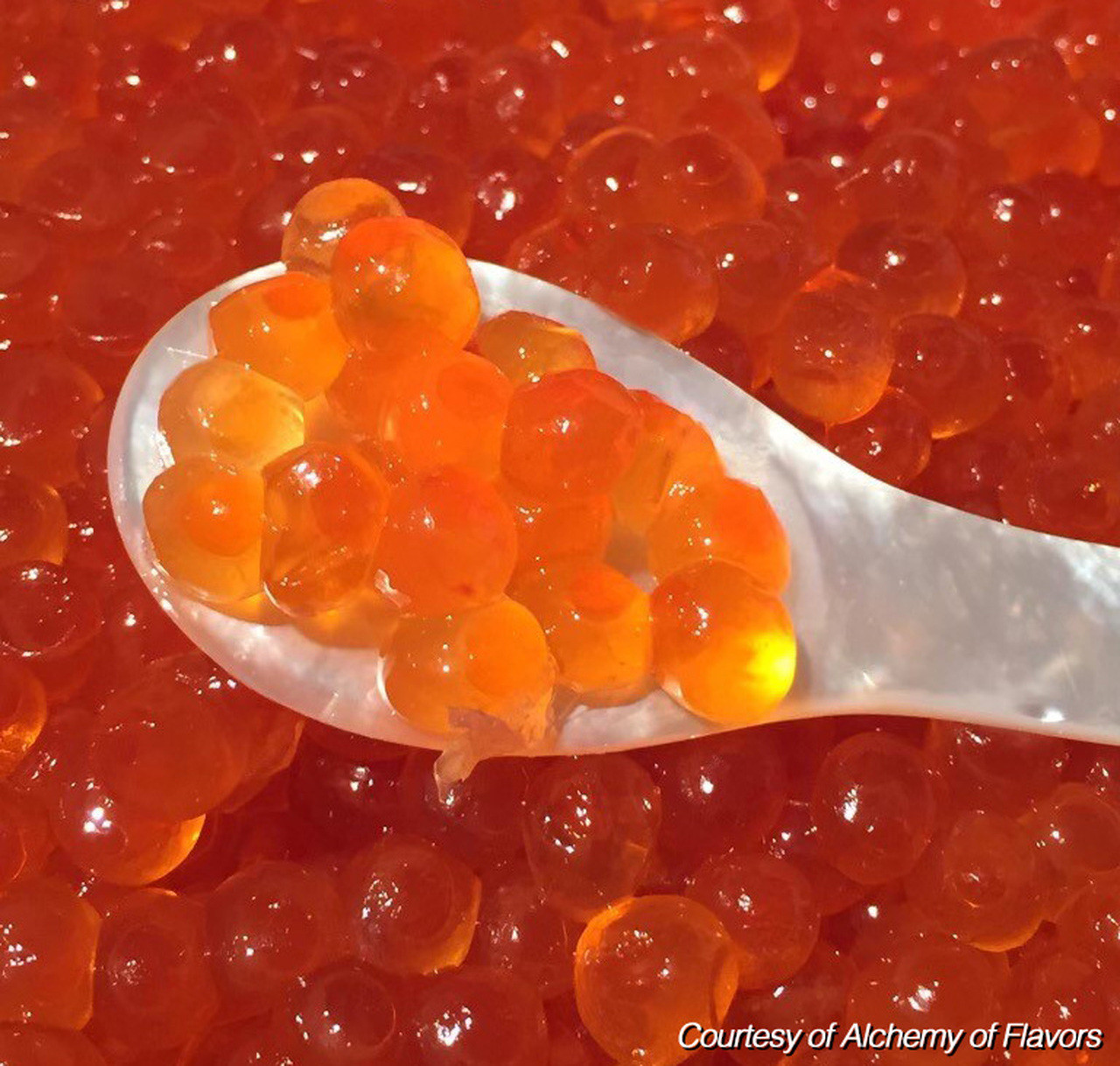 Salmon Roe Keta Caviar, Keta Ikura, Chum Ikura