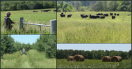 ​Visiting Local Family Farms that Provide Sustainable & Humanely Raised Meats