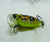 GT Jitterbugs GT Jitterbugs
