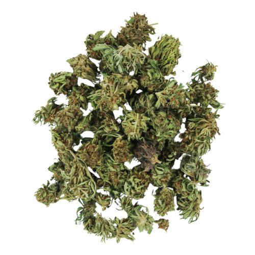 Legendary Jack Smalls • 14.6% Total Cannabinoids