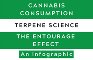 An Infographic: Cannabis Consumption, Terpene Science, & The Entourage Effect