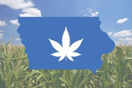 Is Hemp Legal in Iowa?