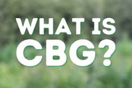 What is CBG?
