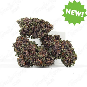 Blue Meringue • 16.9% Total Cannabinoids