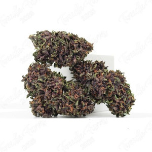 Blue Meringue • 16.9% Total Cannabinoids