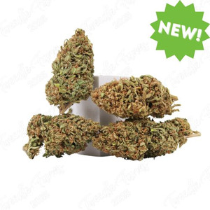 Critical Berries • 20.8% Total Cannabinoids