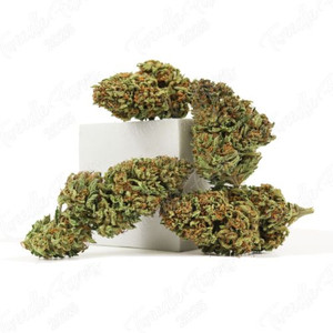 Legendary OG • 18.6% Total Cannabinoids