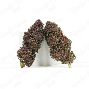 Orange Fritter • 18.6% Total Cannabinoids