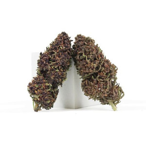 Orange Fritter • 18.6% Total Cannabinoids