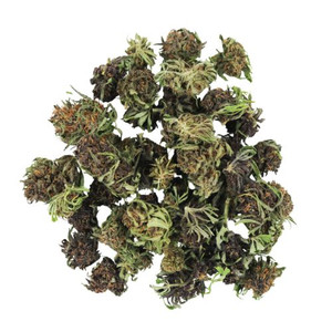 Orange Fritter Smalls • 18.6% Total Cannabinoids