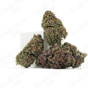 Purple Snowman • 16.8% Total Cannabinoids