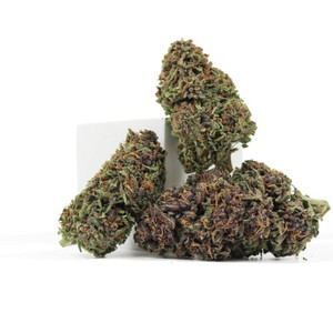 Purple Snowman • 16.8% Total Cannabinoids