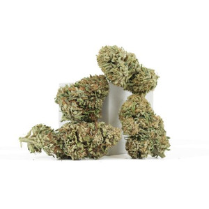 Lemon Snow CBG • 13.2% Total Cannabinoids